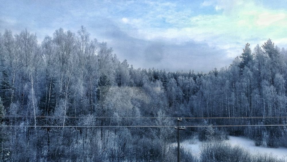 Photo #5604330