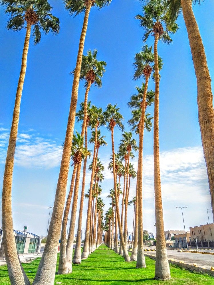 Фотография автора Jayed Wahib Ul Malik