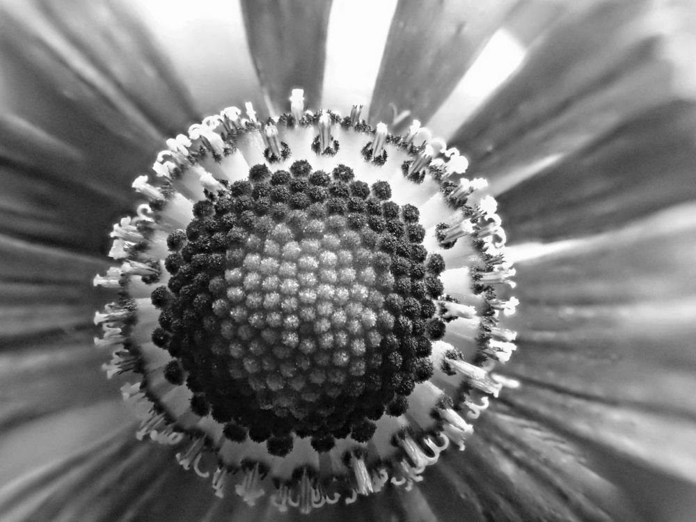 Photograph by Алексей Амилющенко