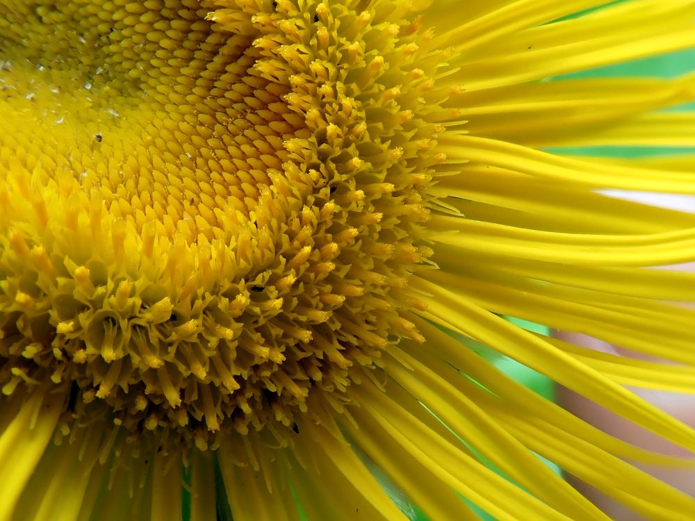 Photograph by Алексей Амилющенко