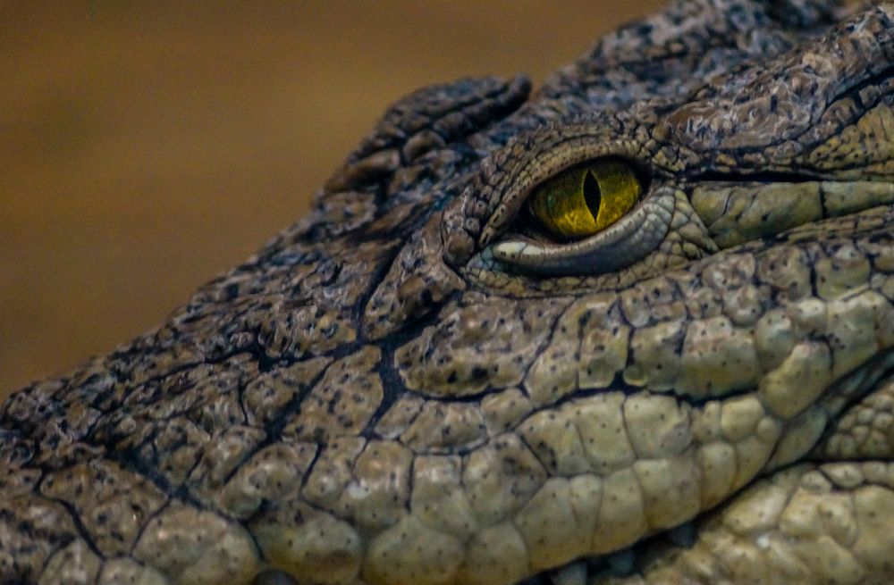 Photograph by Виктор Сёмушкин