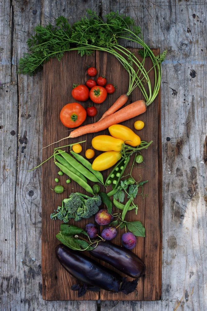 Photograph by Екатерина Долова