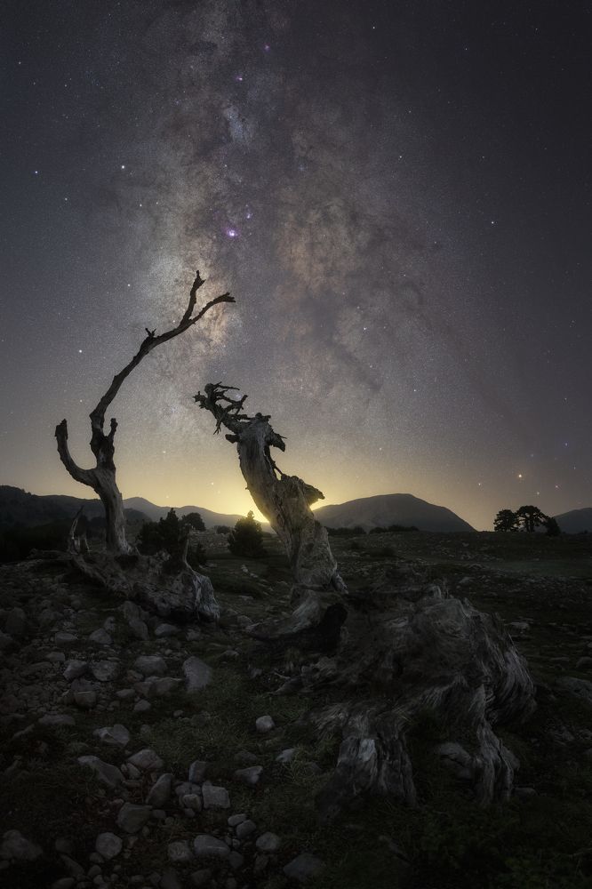 Photograph by Pierandrea Folle