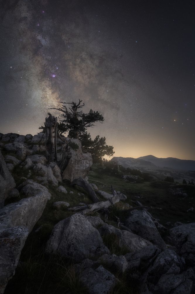 Photograph by Pierandrea Folle