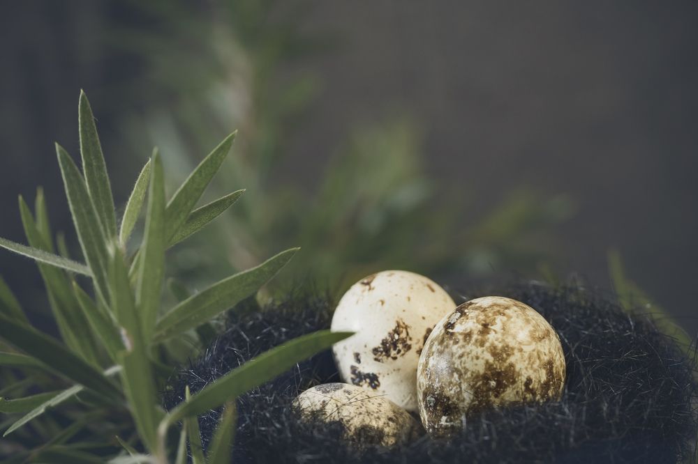 Photograph by Bijaya Lamichhane Jaisi