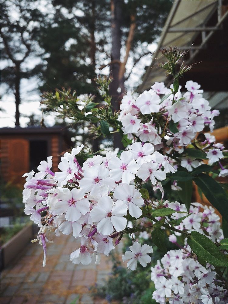 Осень в Карелии