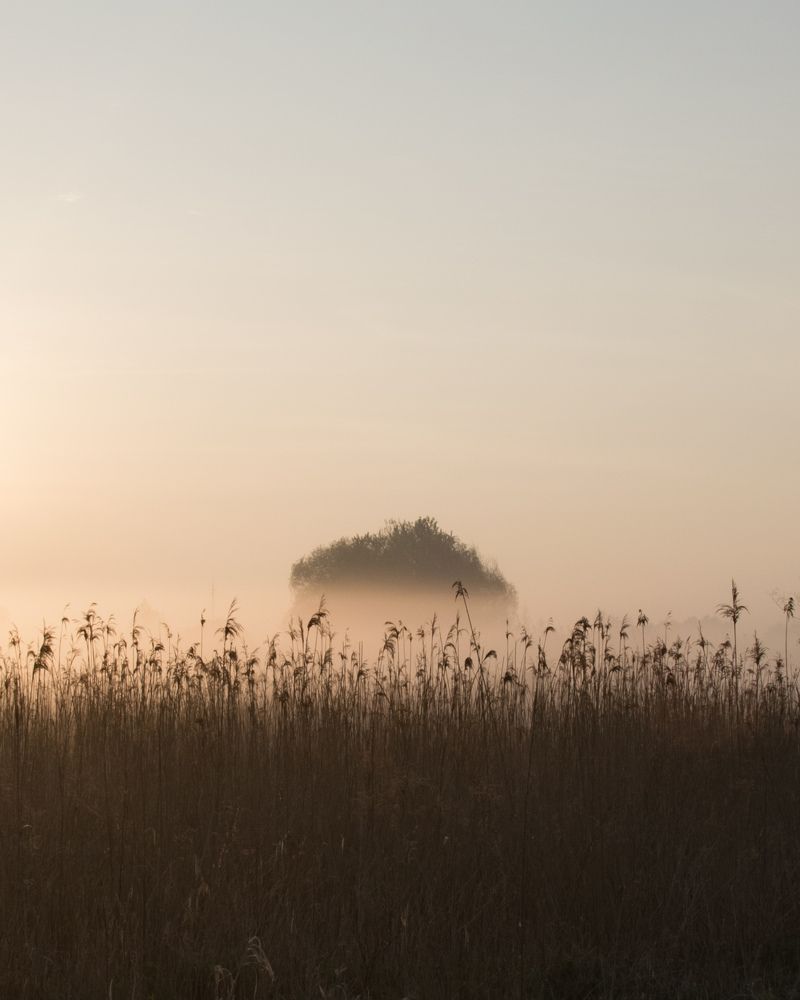 Photograph by Ruslan Pryimak
