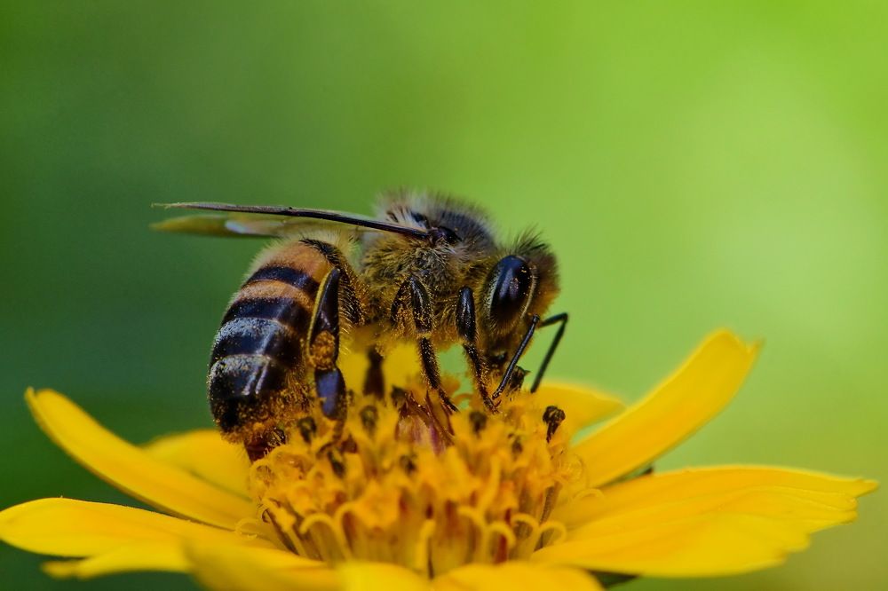 Photograph by Moura Denis