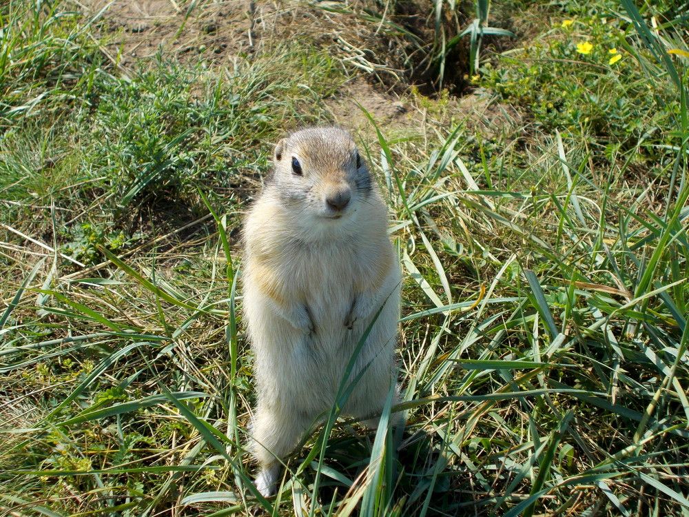 Photograph by Александр Антонов