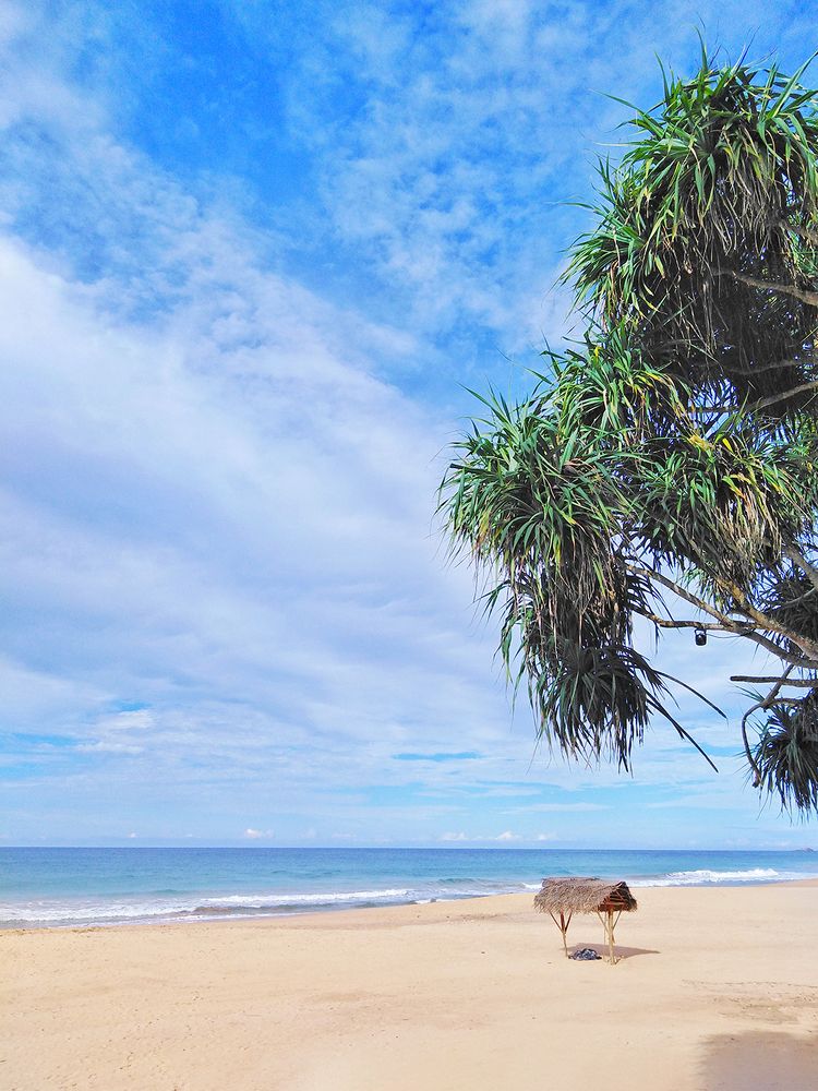 Photograph by naveen Gamwari