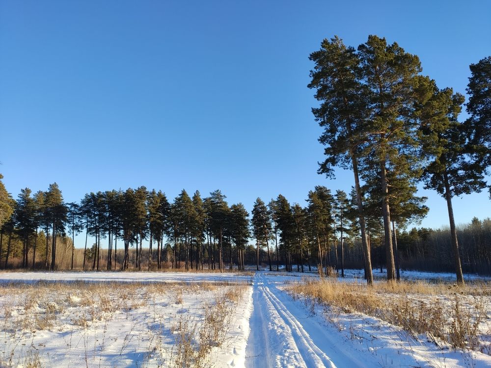 Photograph by Людмила Никитина