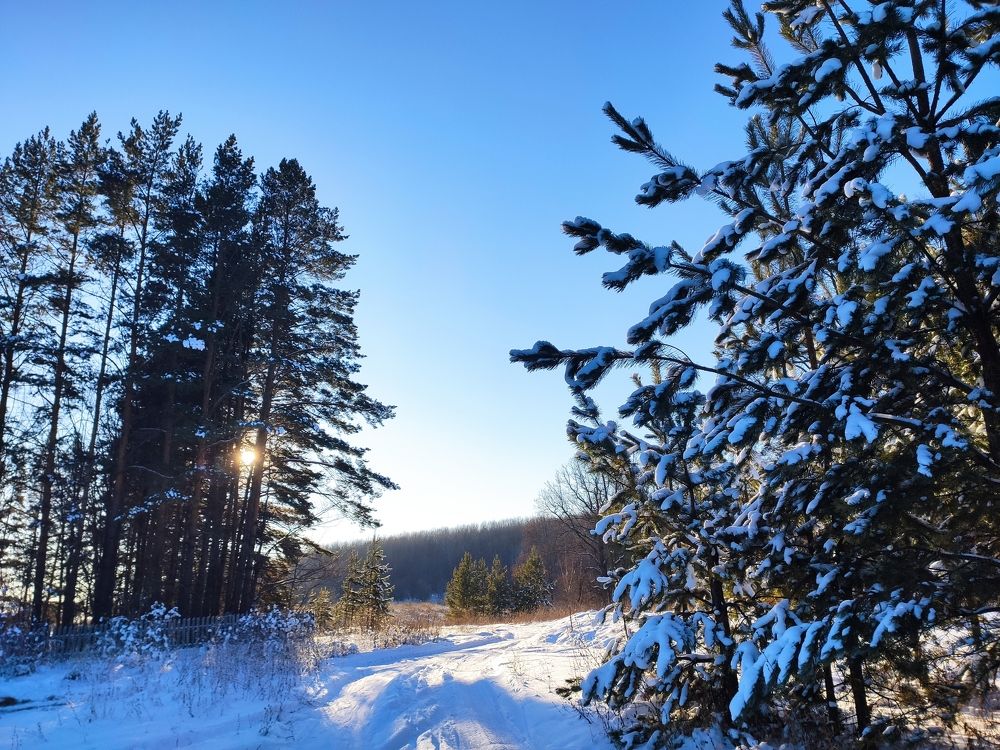 Photograph by Людмила Никитина