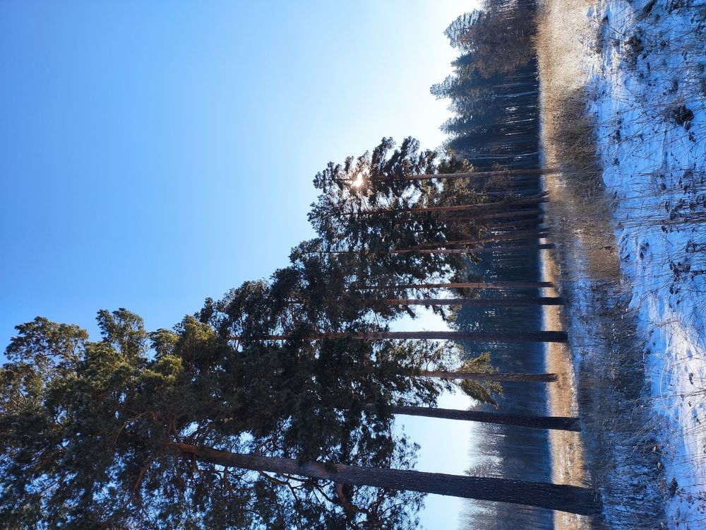 Photograph by Людмила Никитина