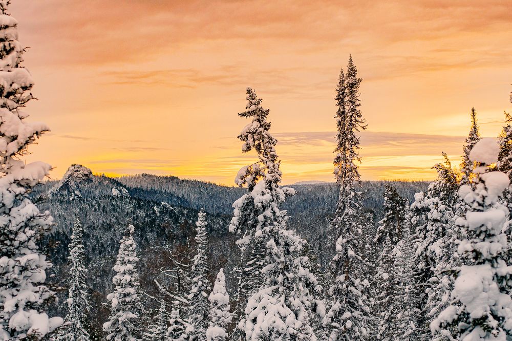 Фотография автора Анна Рыжкова