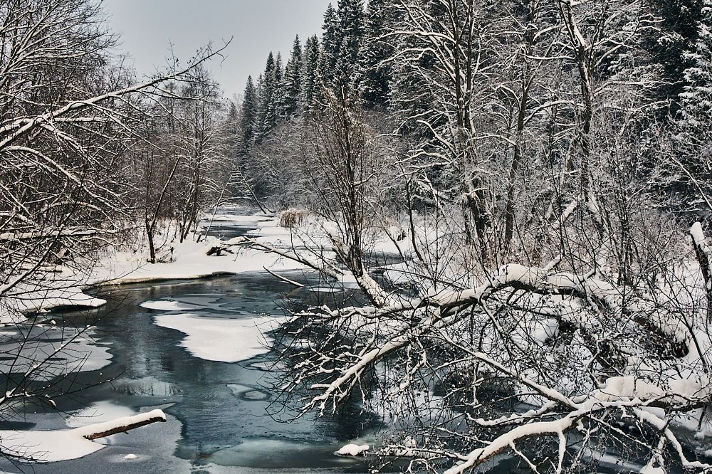 Зимняя сказка