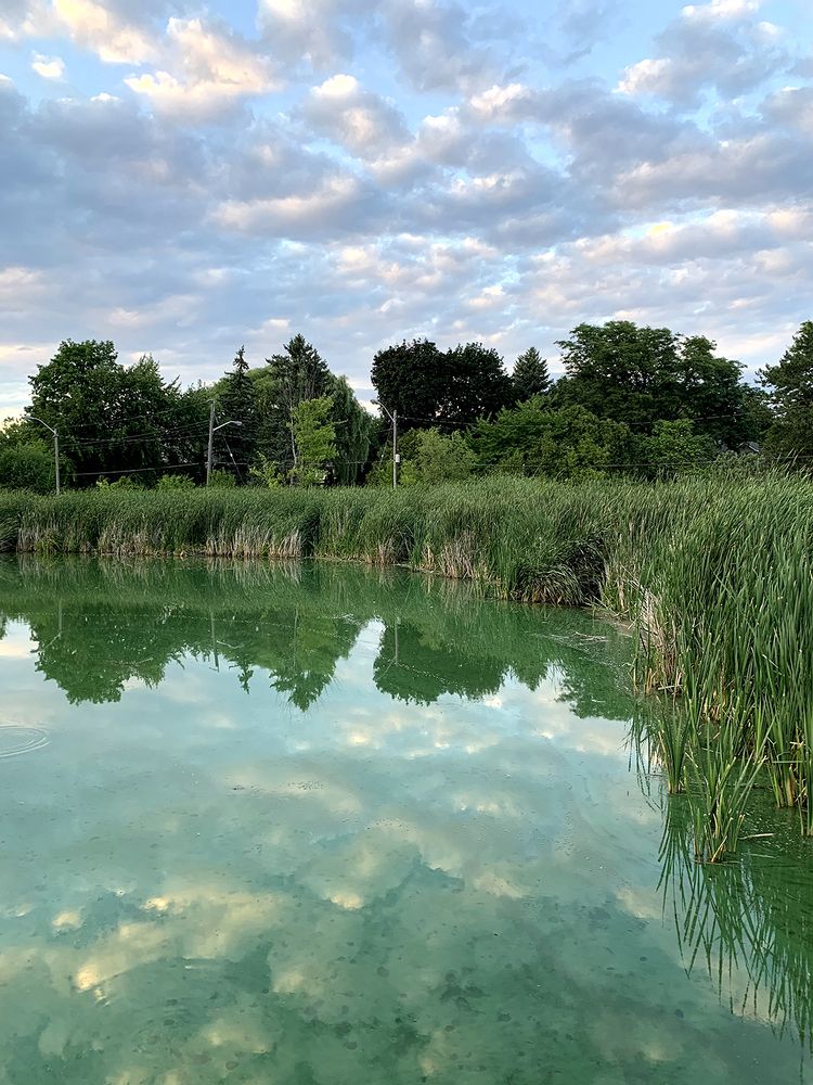 Photograph by Liliana Grup