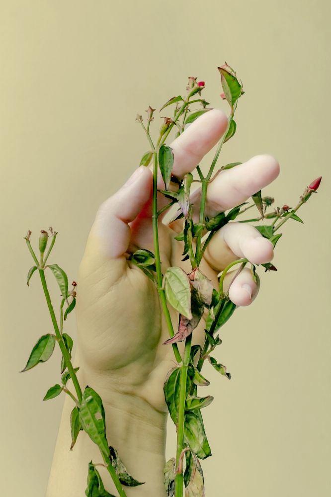 Photograph by Maria de los Angeles Osorio