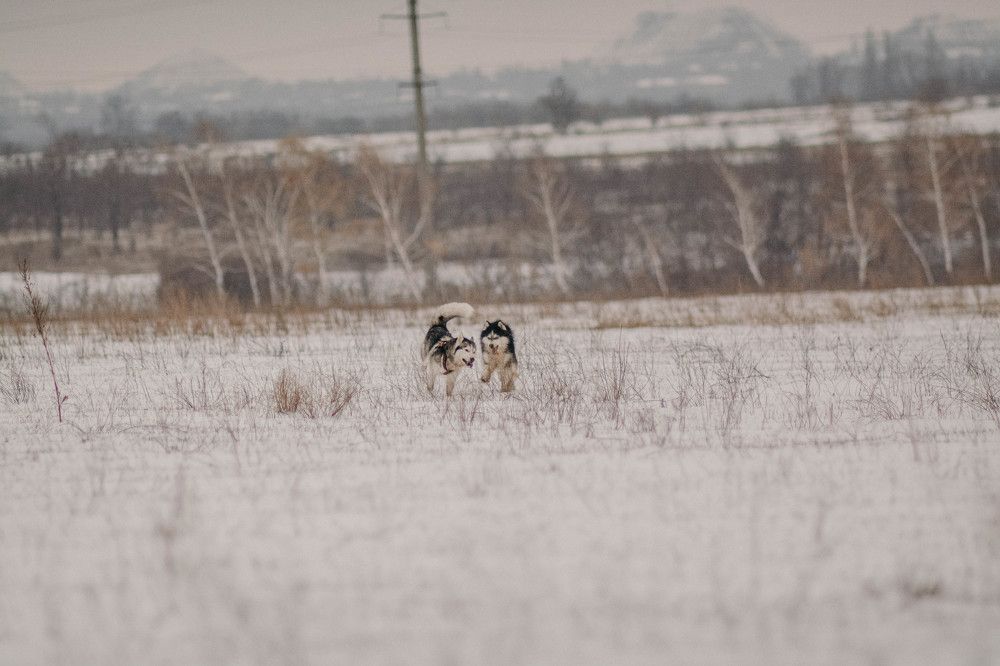 Фотография автора Виктория