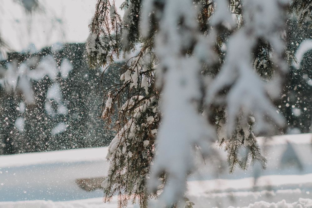Фотография автора Виктория