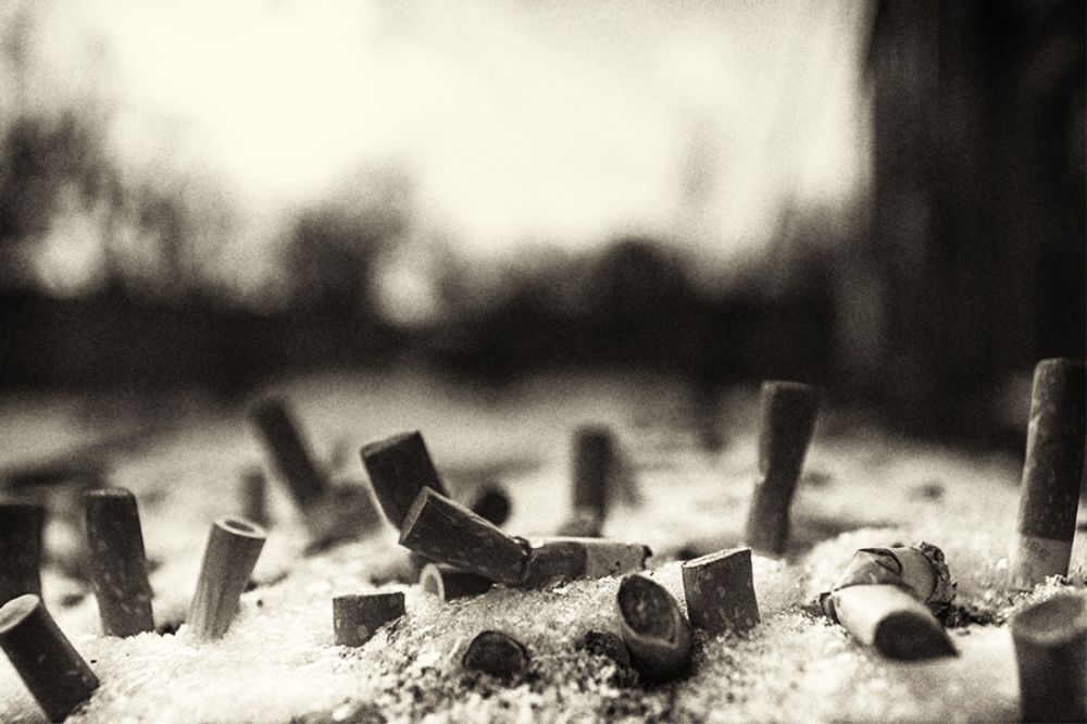 Photograph by Александр Мац