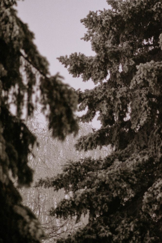 Фотография автора Виктория