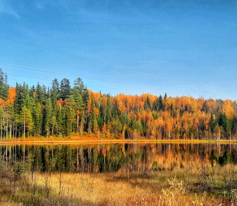 Photograph by Ольга Шаньгина