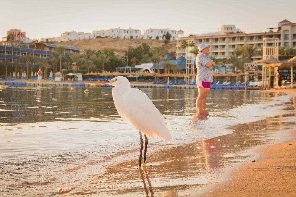 Photograph by Иван Григорьев