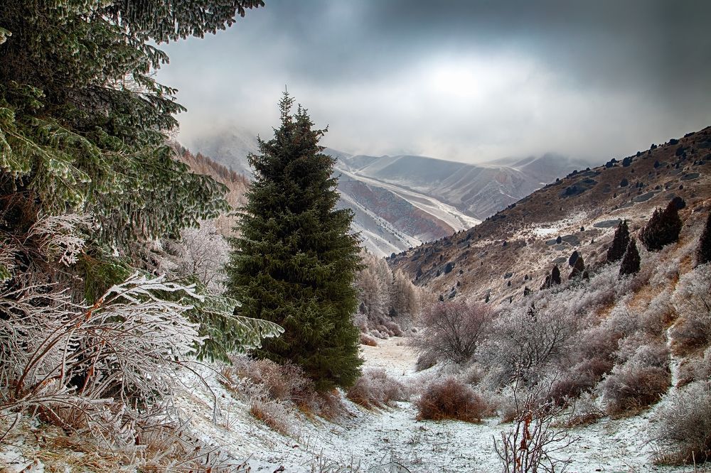 Догорает осени костер