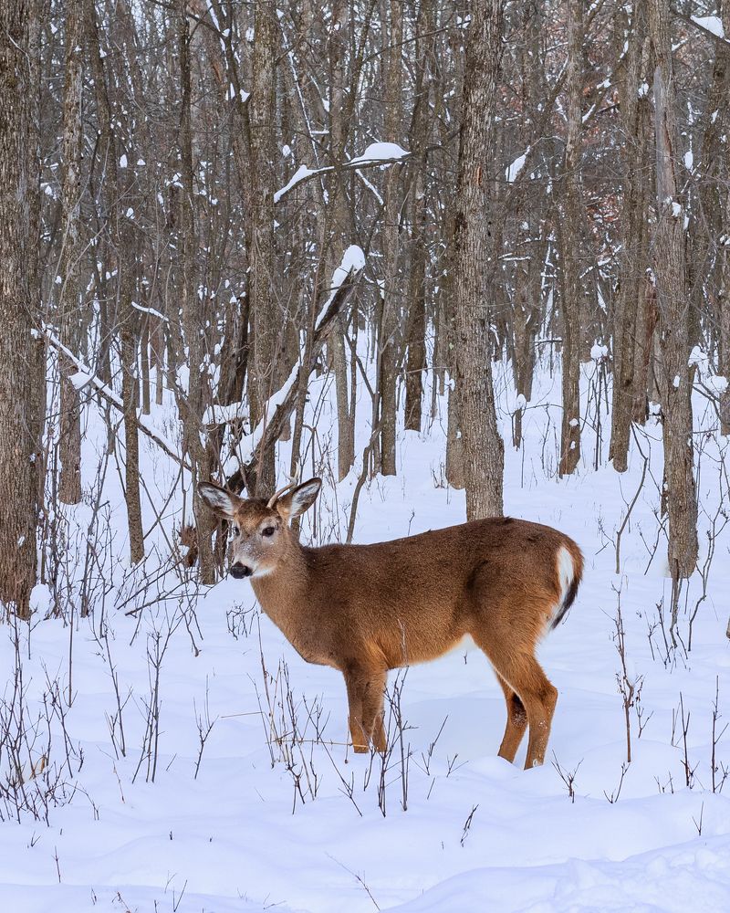 Photograph by Ahmadreza Moezzi