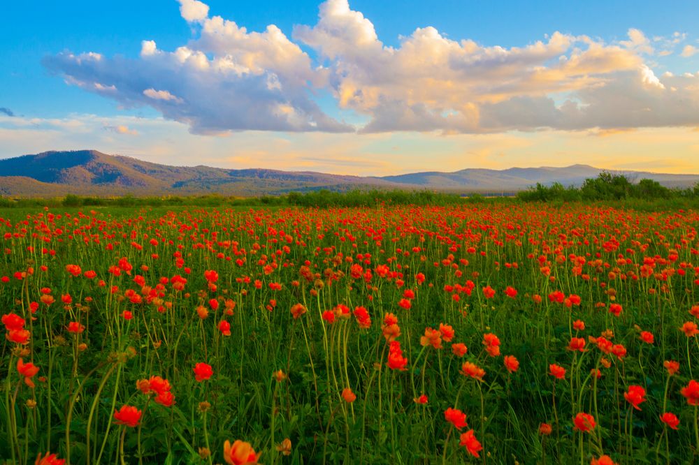 Photograph by Олег Ловцов