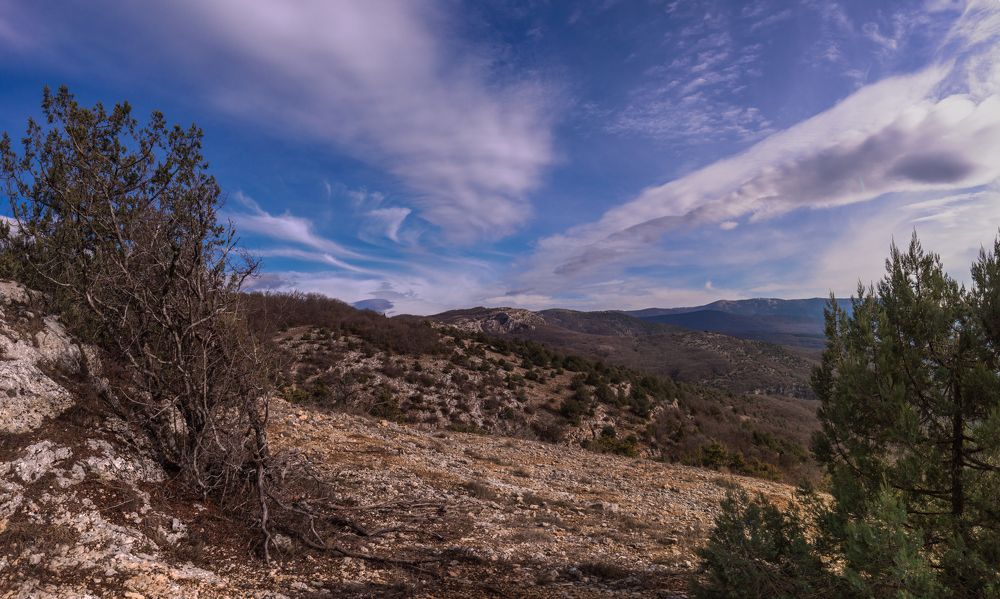 Photograph by Владимир Лысов