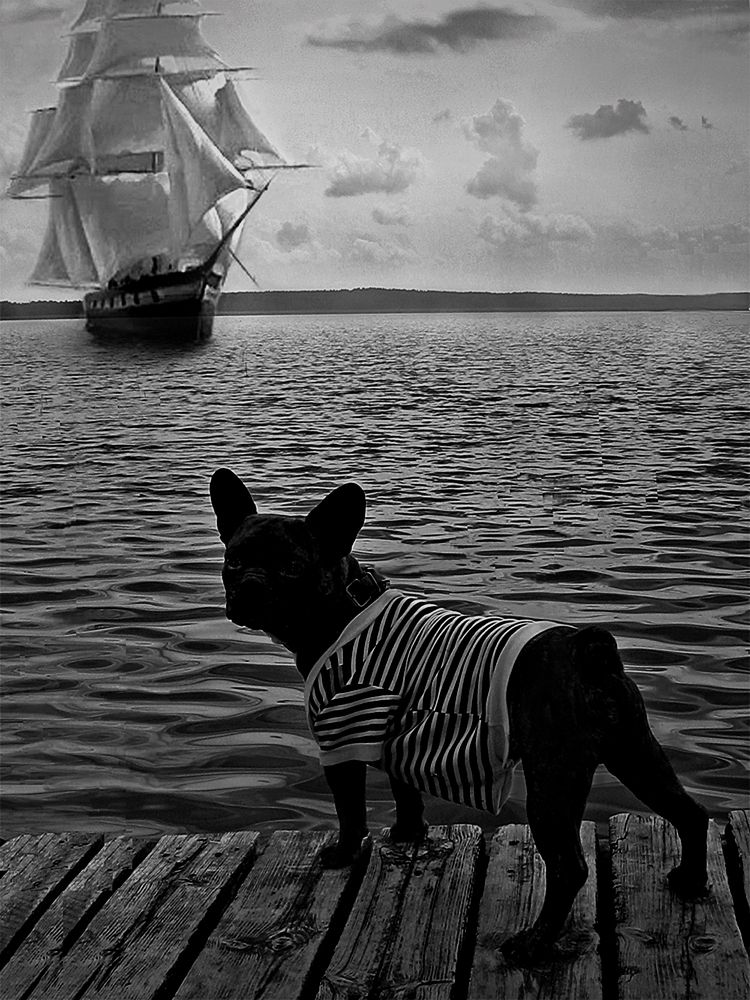 Photograph by Зоя Быкова