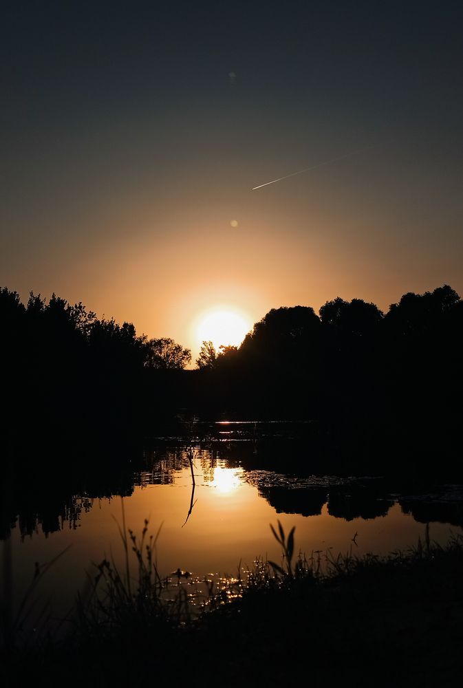 Фотография автора Алёна Подгорная