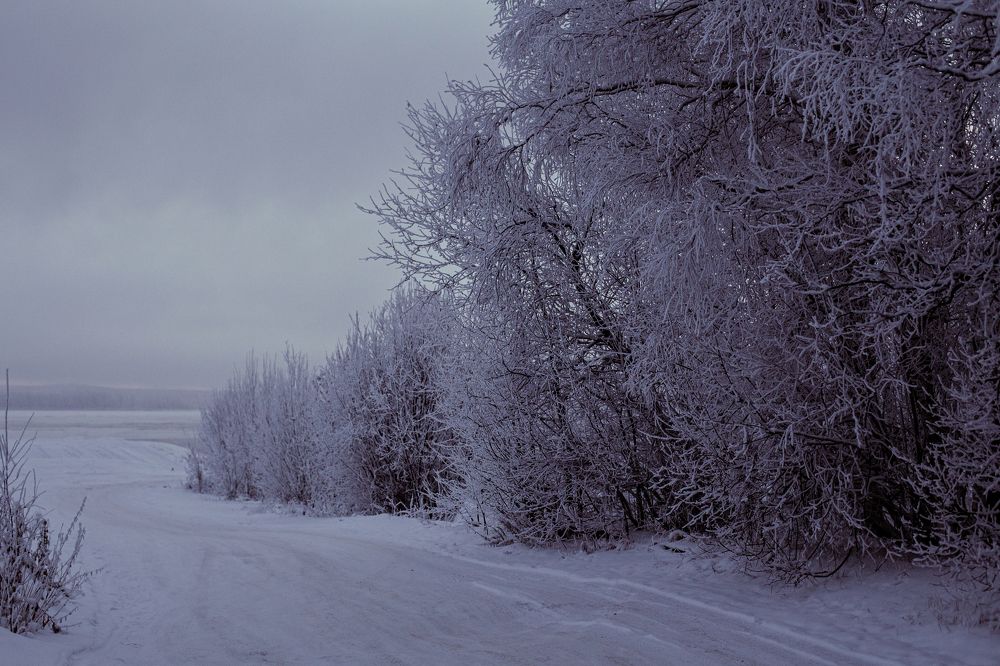 Photograph by Натали Чалык