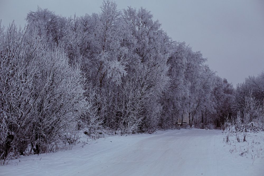 Photograph by Натали Чалык