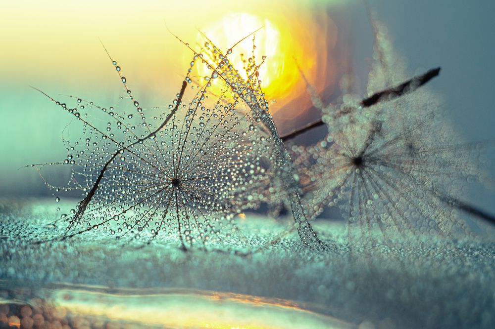 Photograph by Натали Чалык