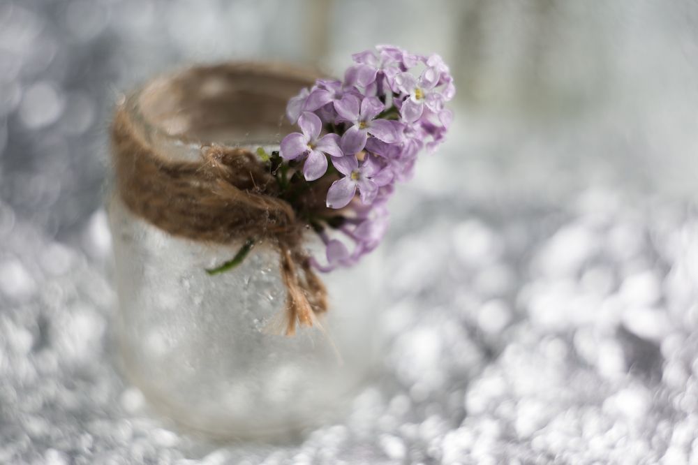 Photograph by Натали Чалык