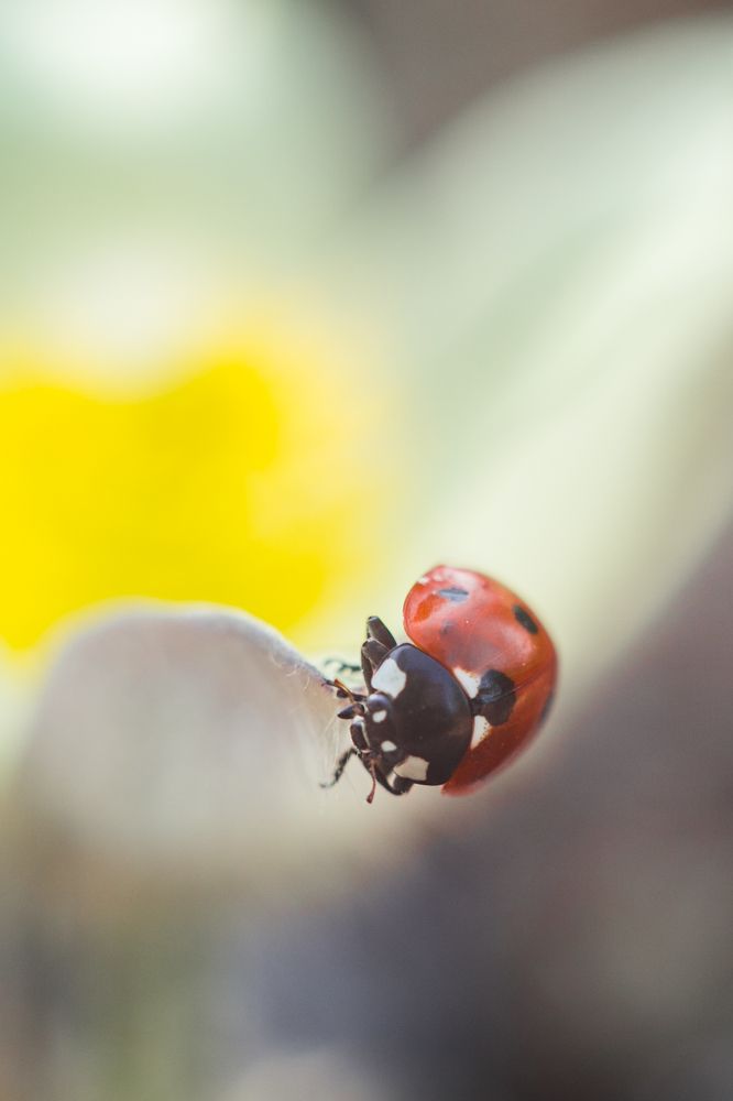 Photograph by Натали Чалык