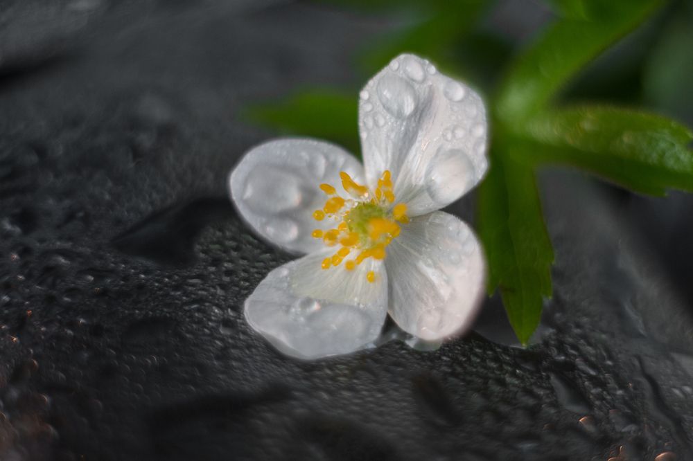 Photograph by Натали Чалык