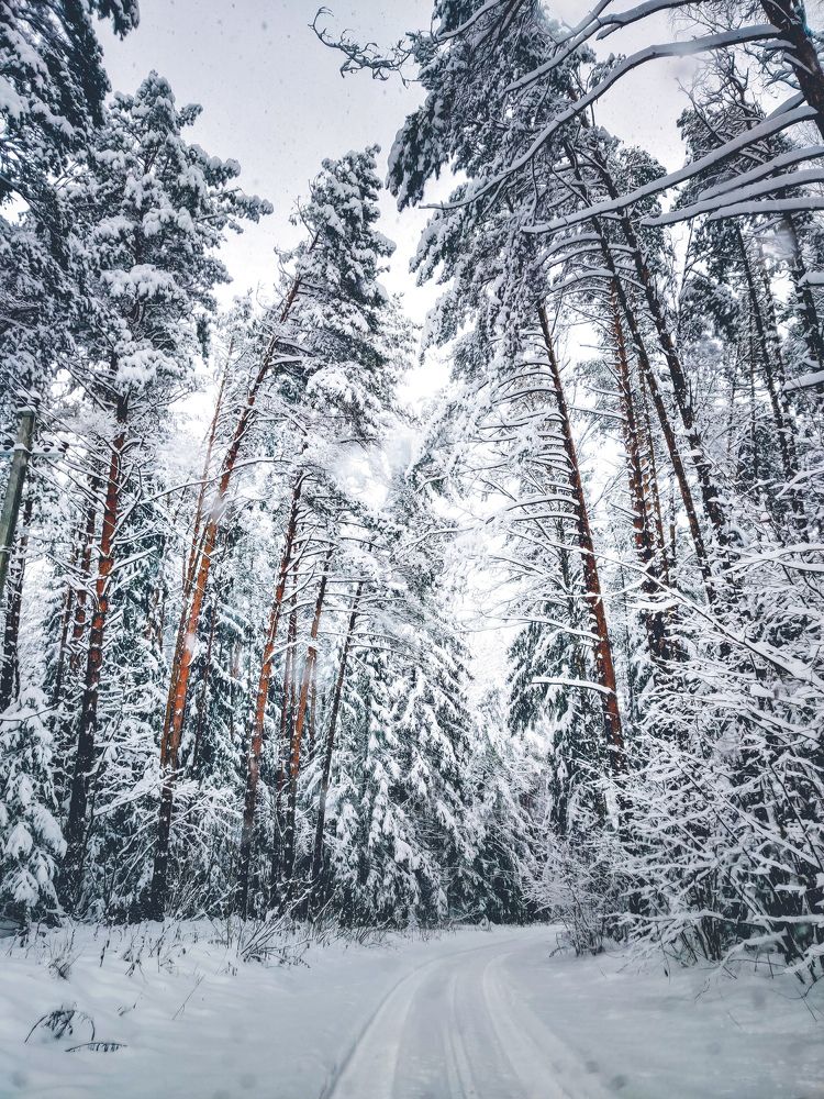 Photograph by Елена Башмакова