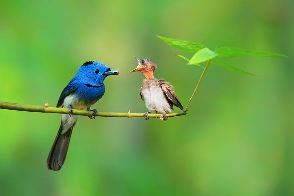 A responsible father