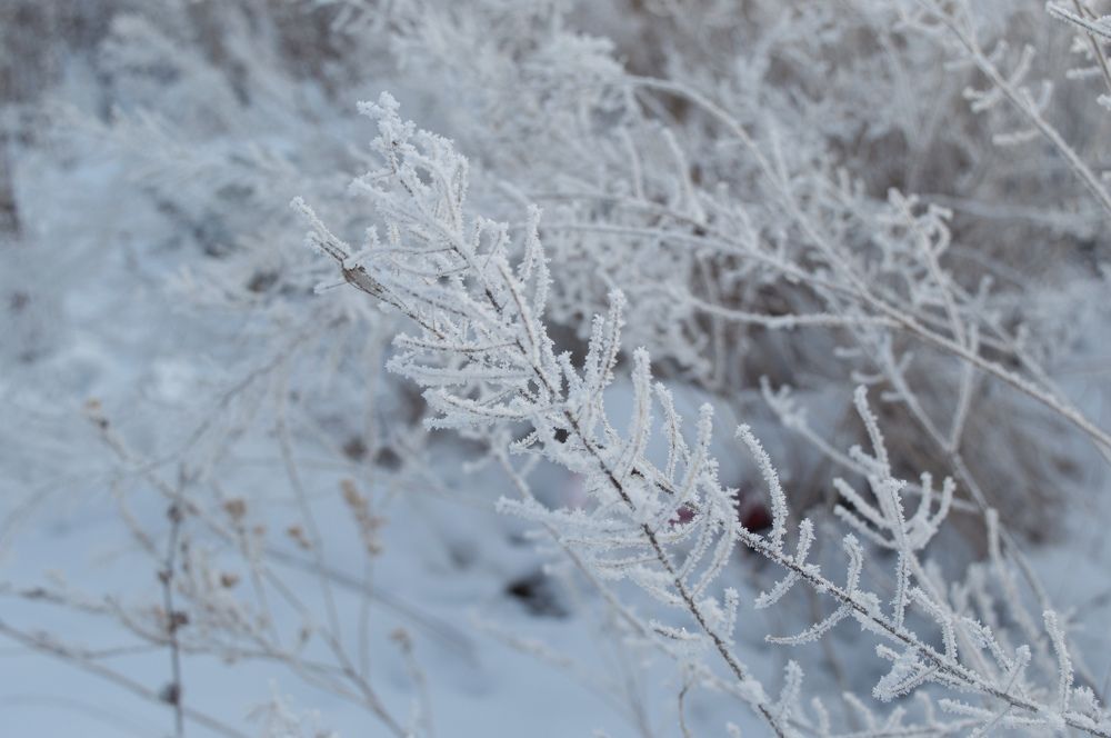 Photograph by Елена Квасова