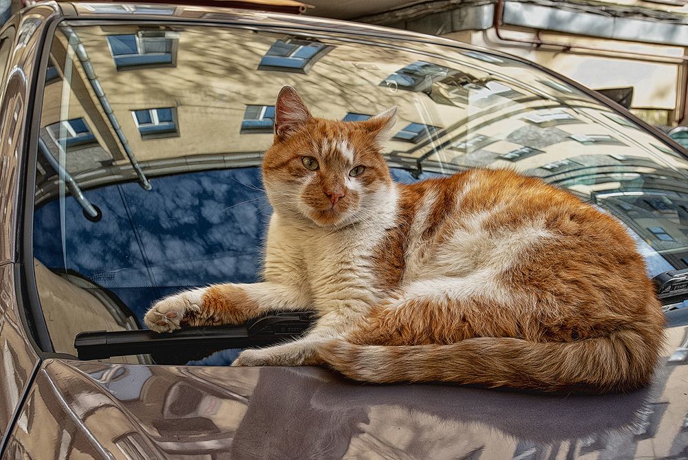 Photograph by Тамара Андреева