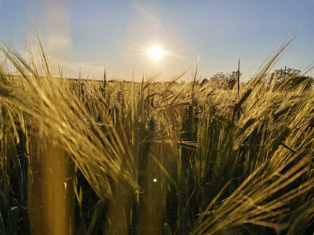 Photograph by Максим Гринченко