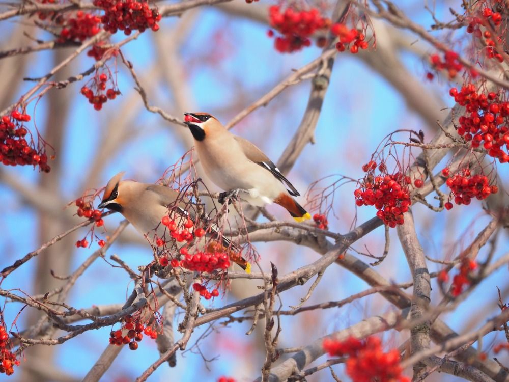 Photograph by Xeniya Kolosova