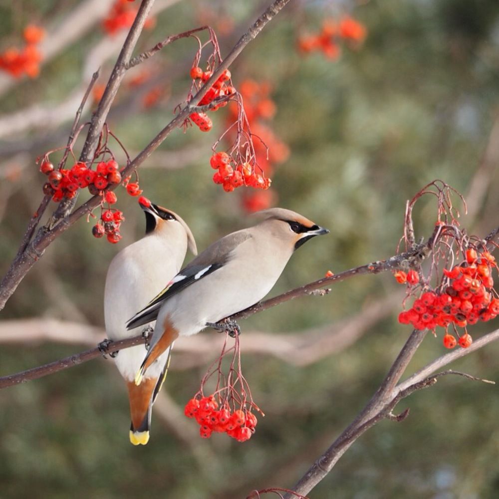 Photograph by Xeniya Kolosova