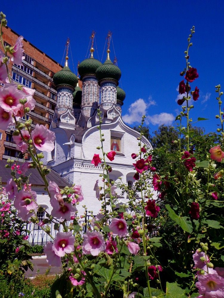 Photograph by Наталья Сазонова