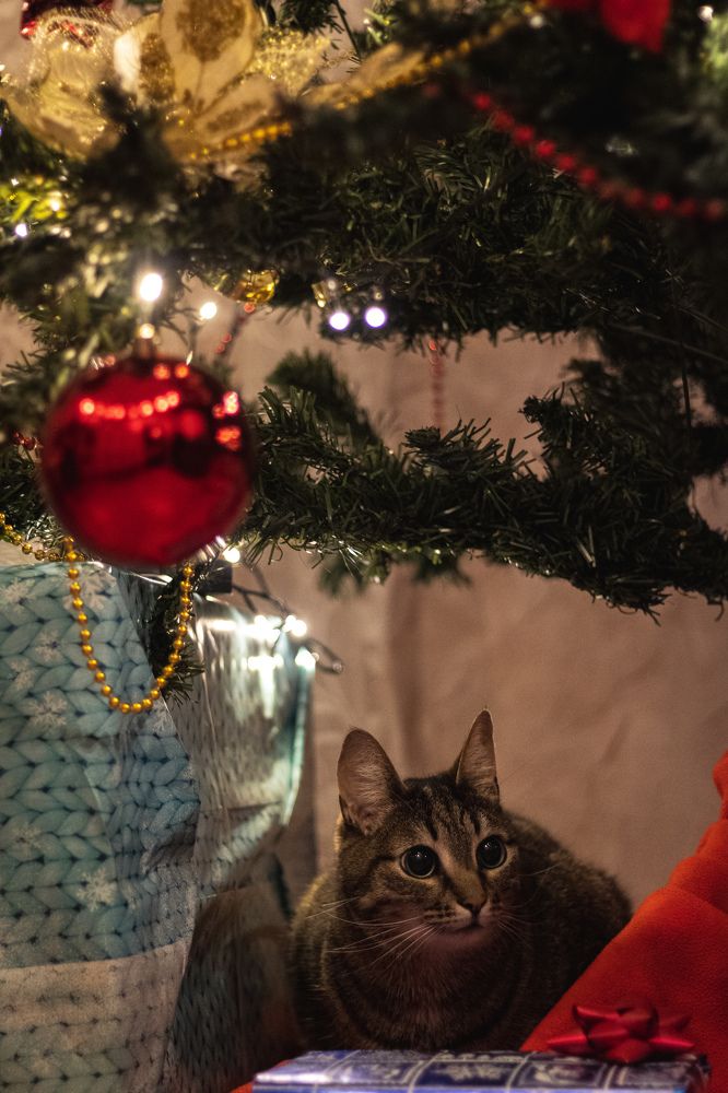 Photograph by Кирилл Ермилов