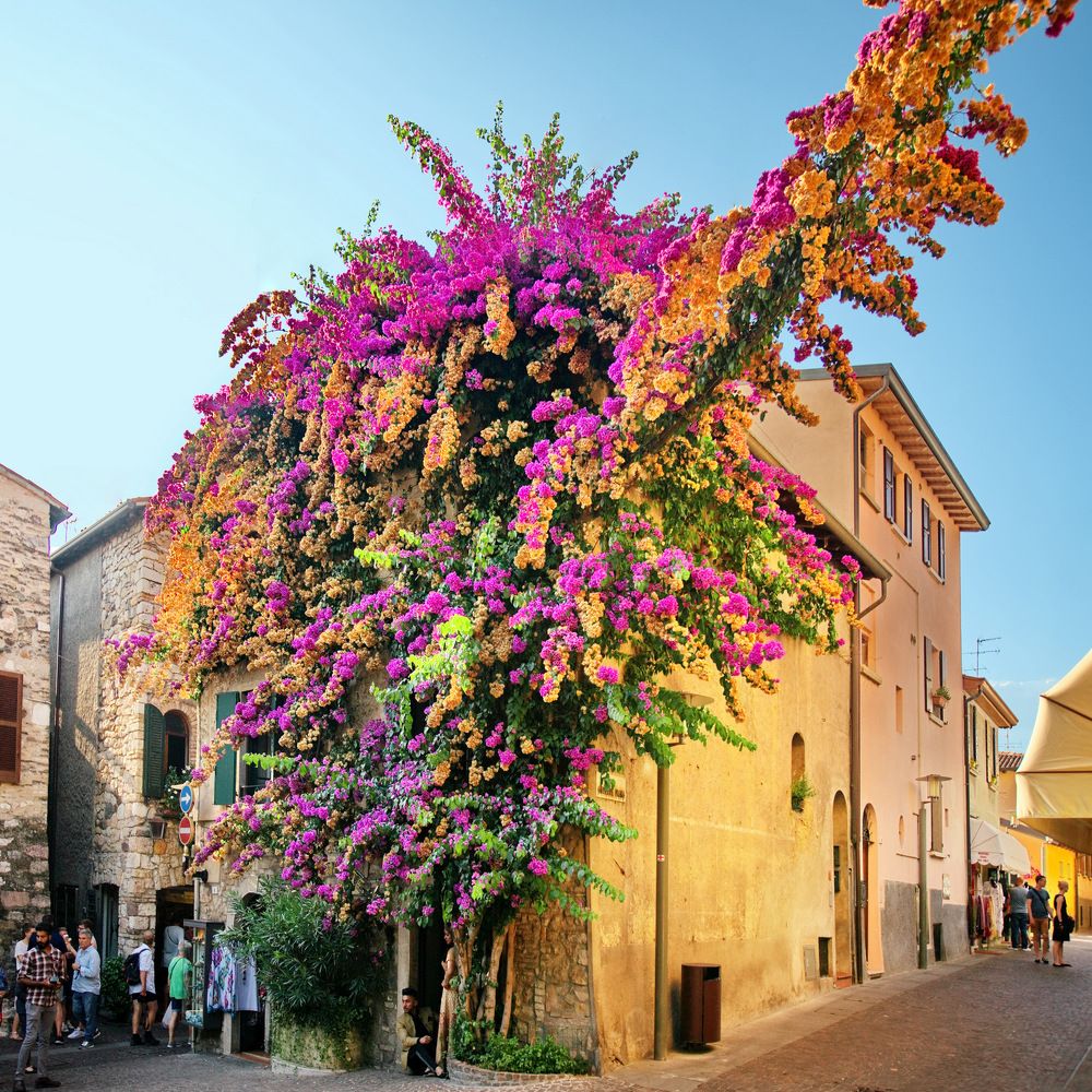 Photograph by Людмила Ефремова