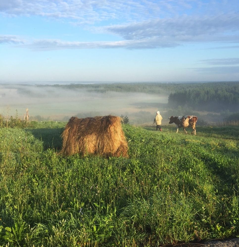 Фотография автора Карепанов Евгений